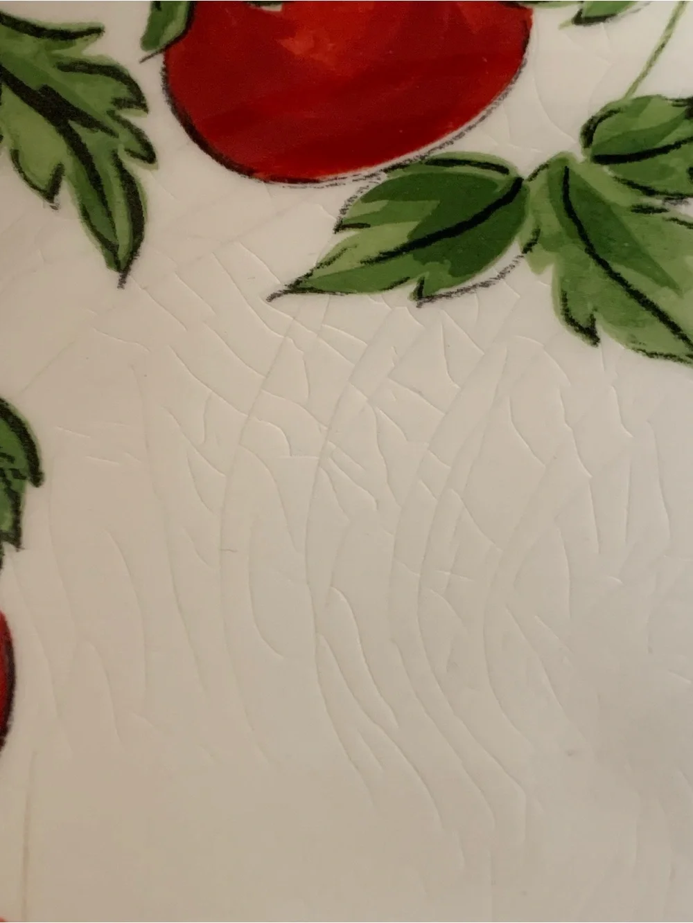 2 Crate & Barrel Tomato Vine Ceramic Pasta Bowls Plates Dishes Portugal 9
